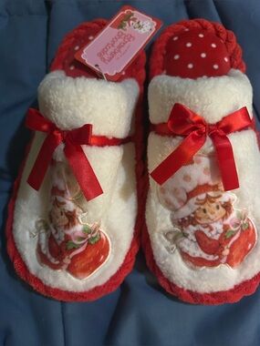 Brand new strawberry shortcake slides!